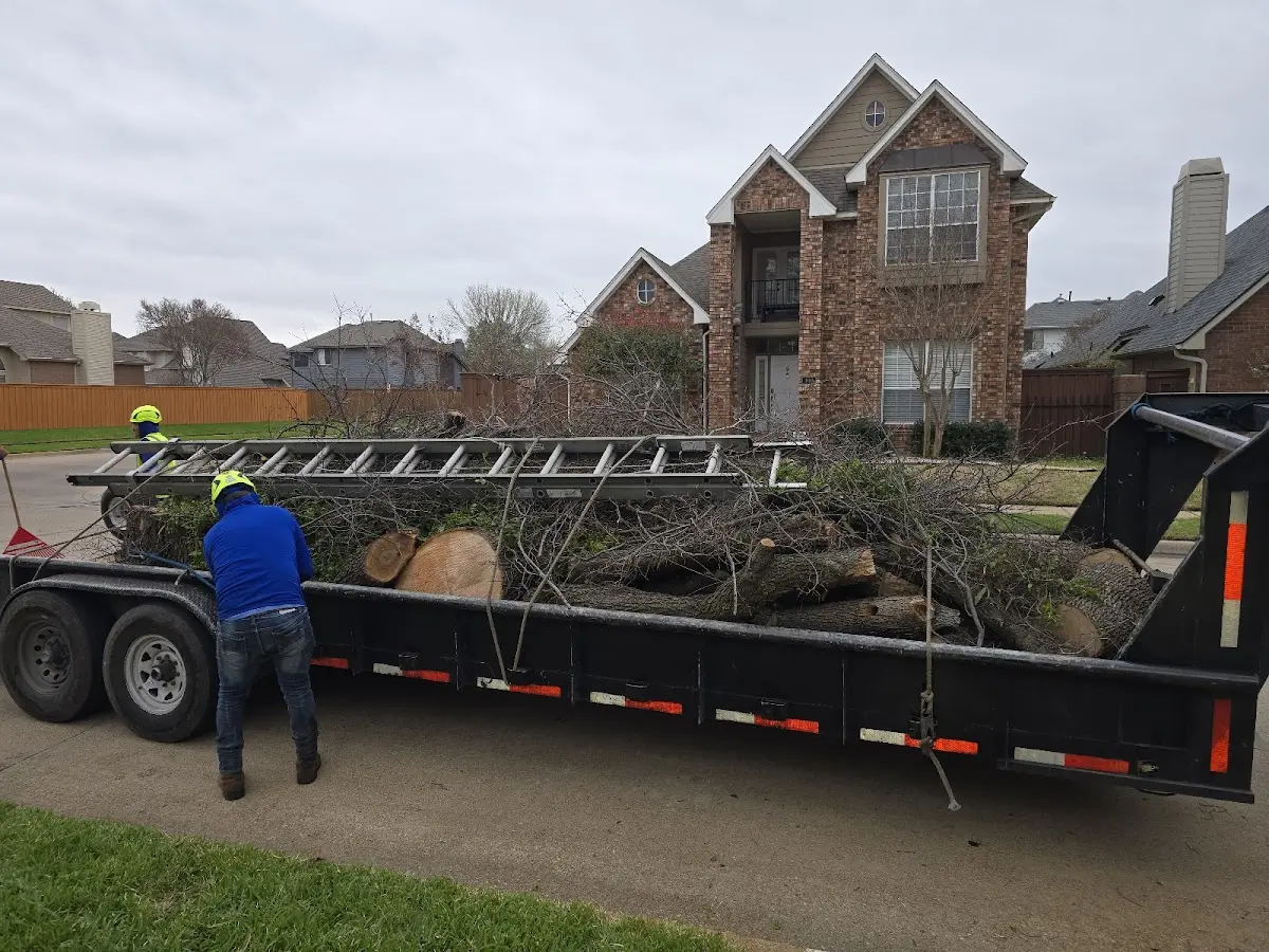Expert Tree Removal with proper safety equipment in Norway